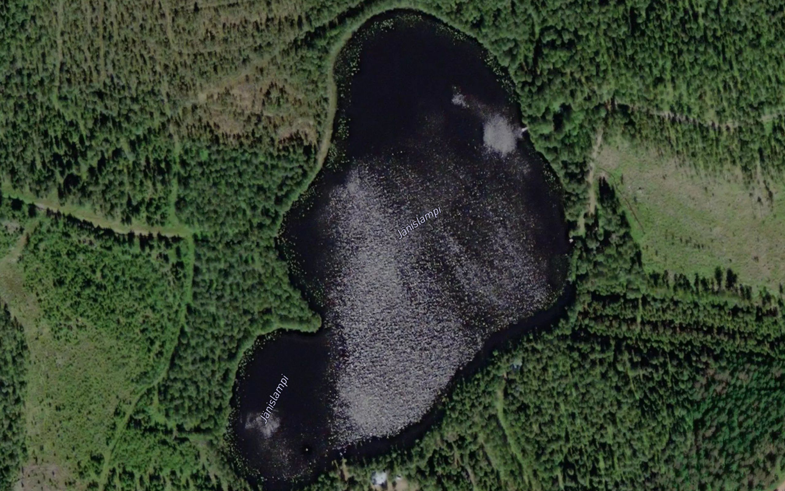 Janislampi