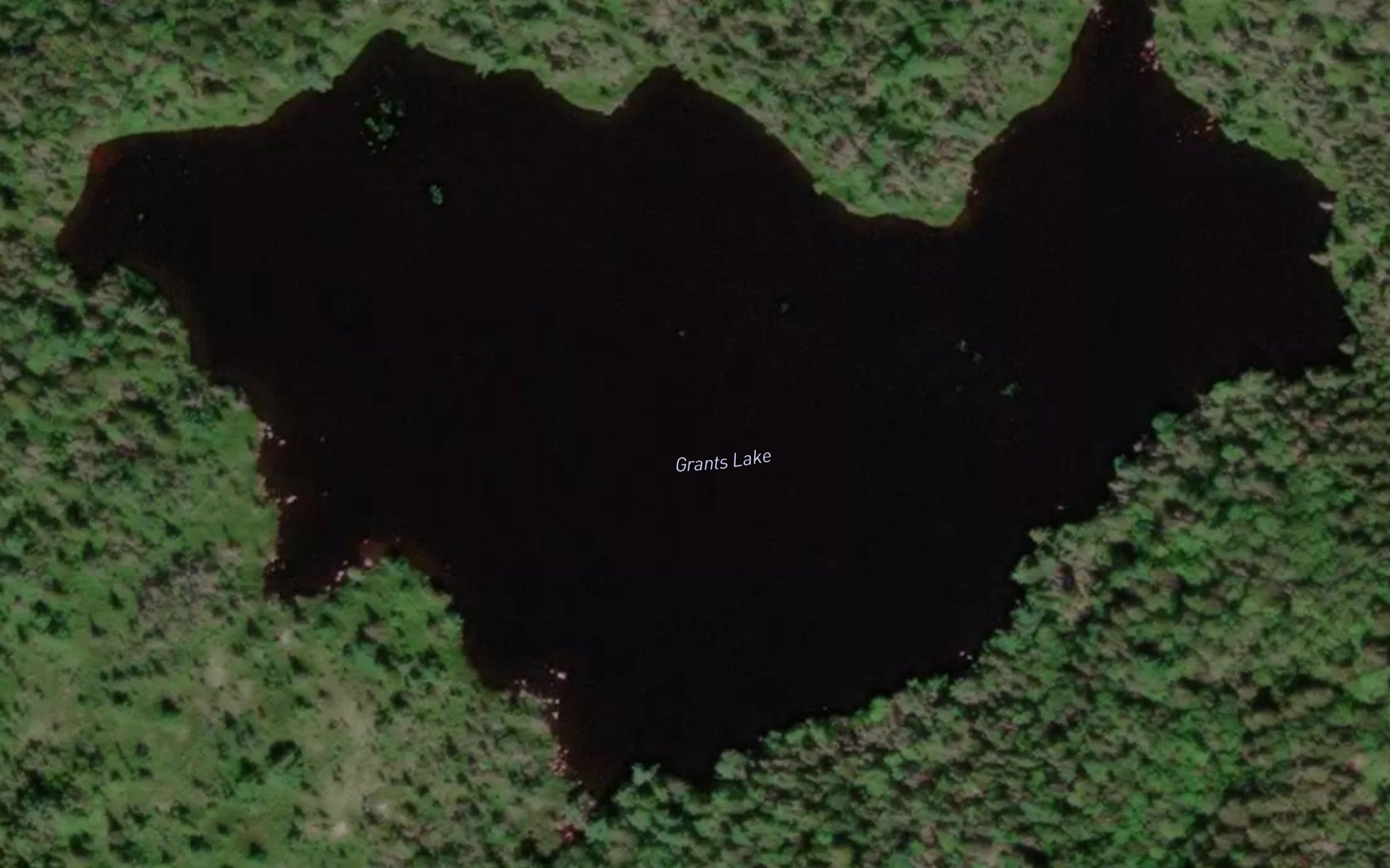 Grants Lake