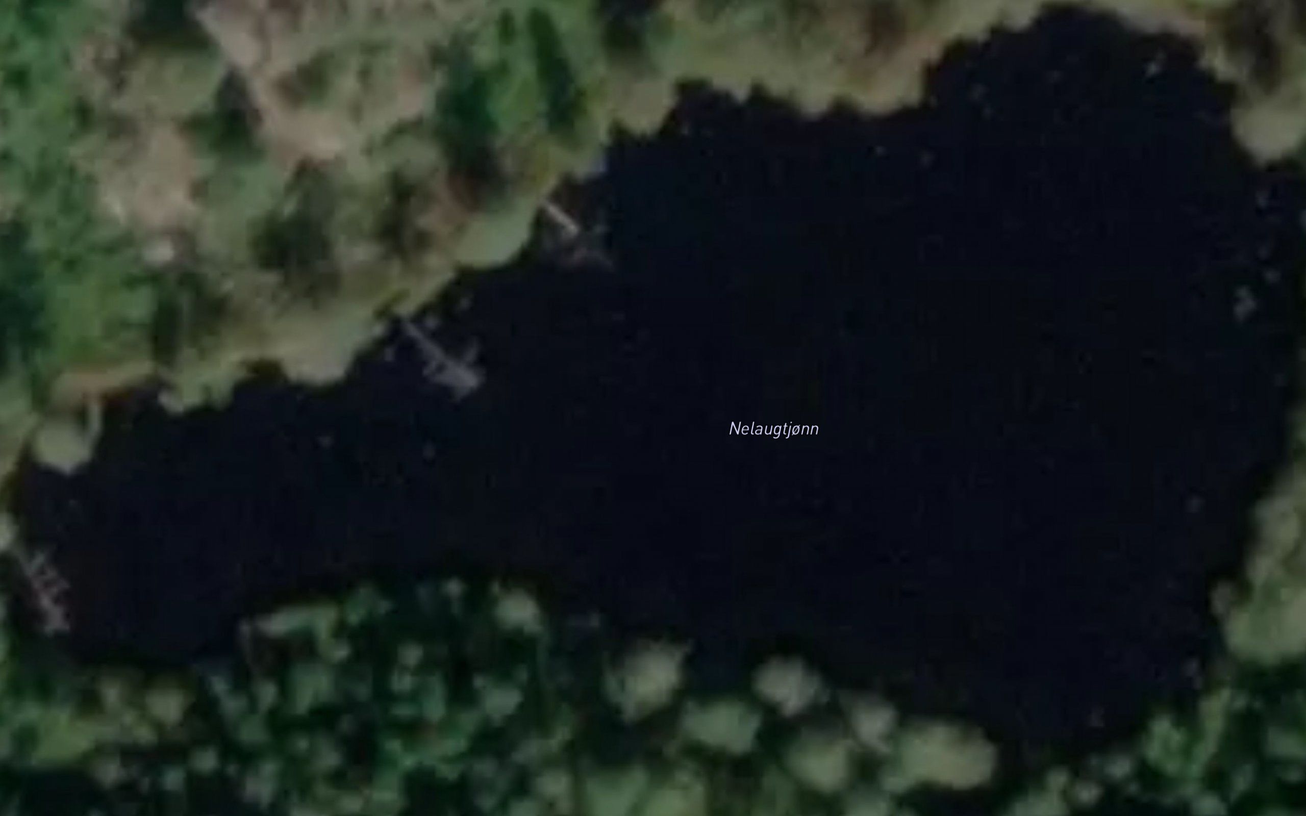 Nelaugtjonn