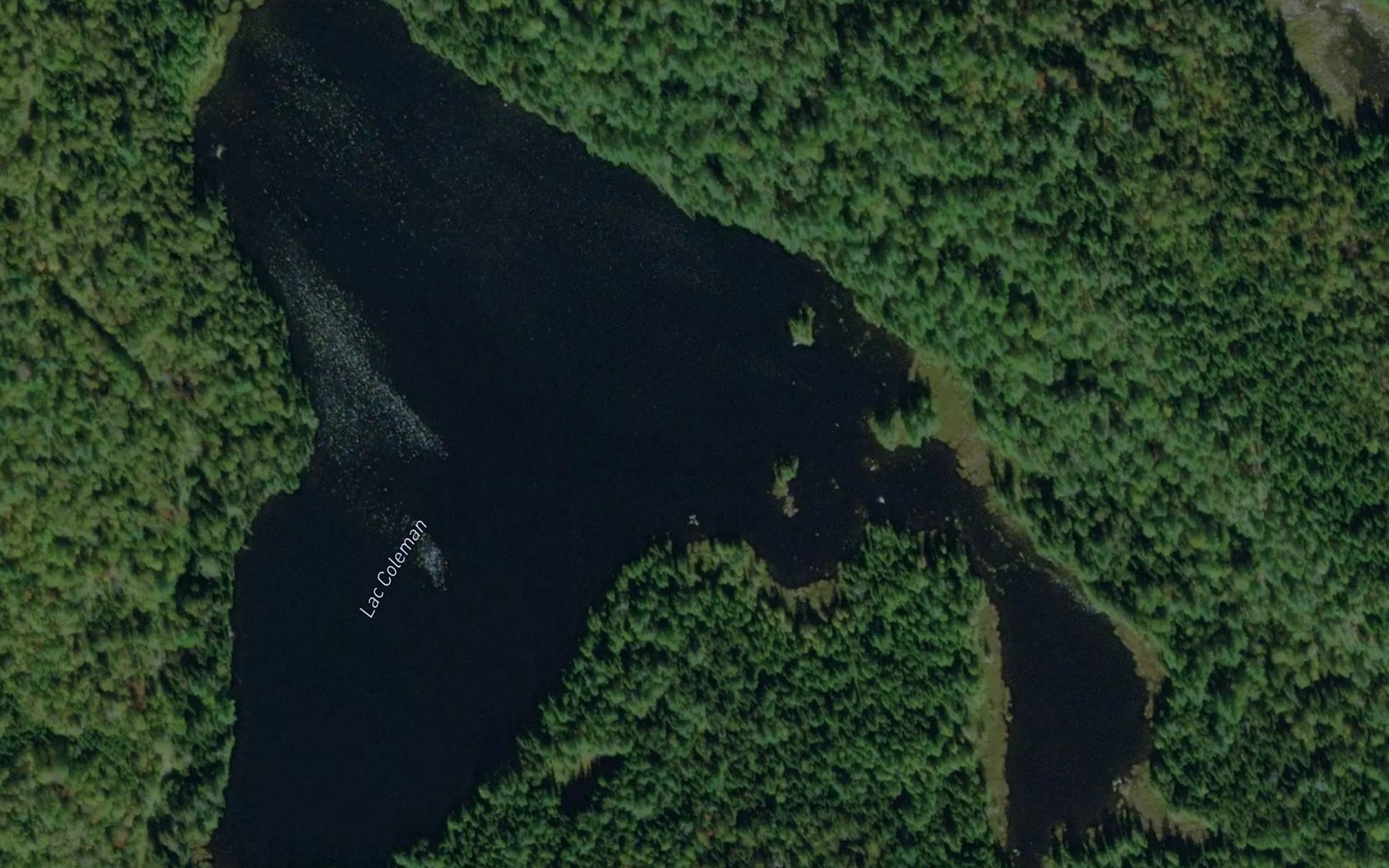 Satellite map of the Lac Coleman