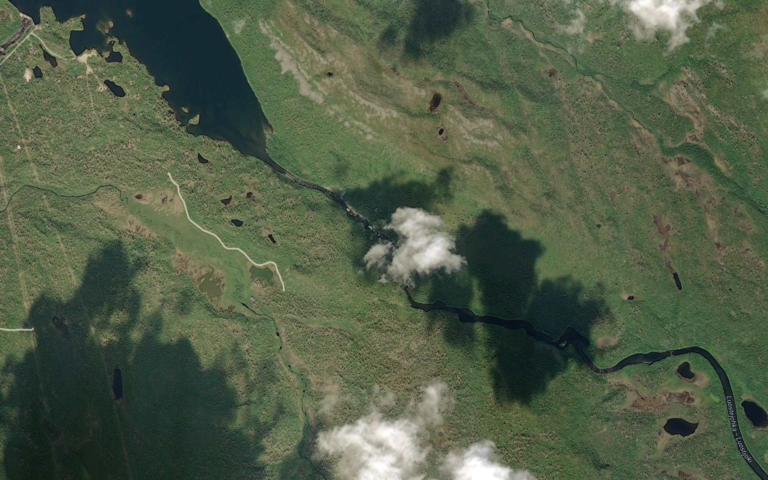 Luovsvargarni
