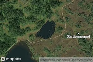 Gastjorna