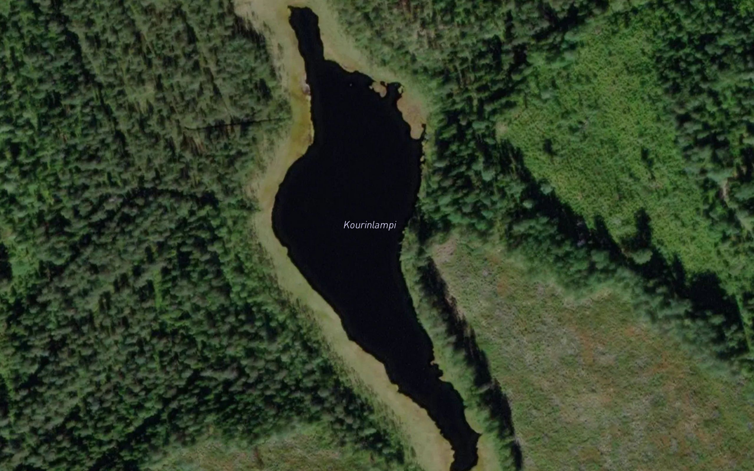 Kourinlampi