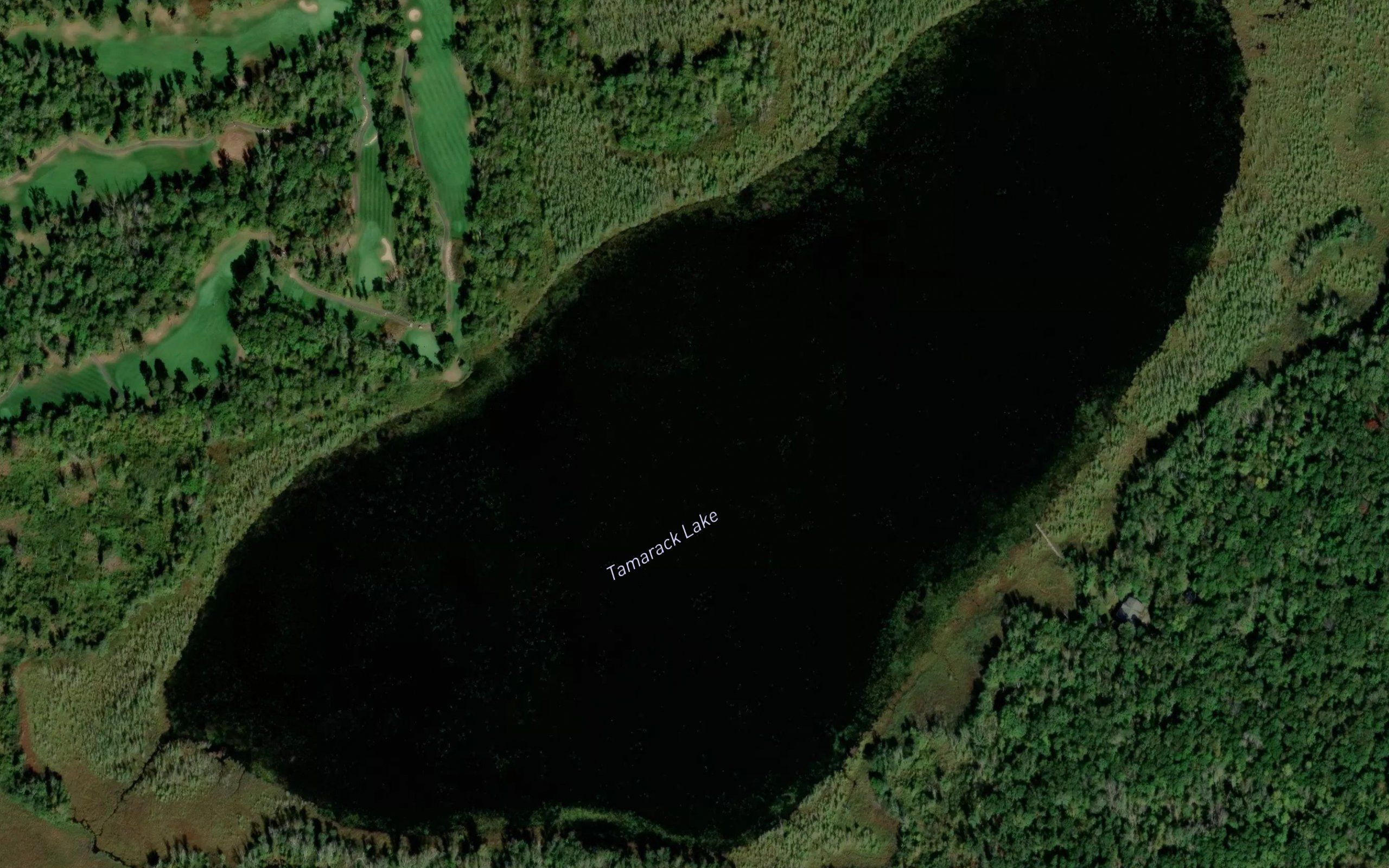 Tamarack Lake