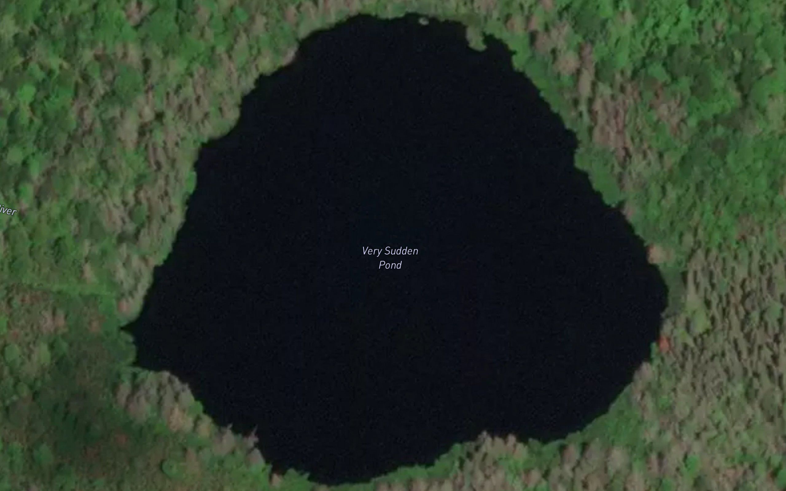 Very Sudden Pond