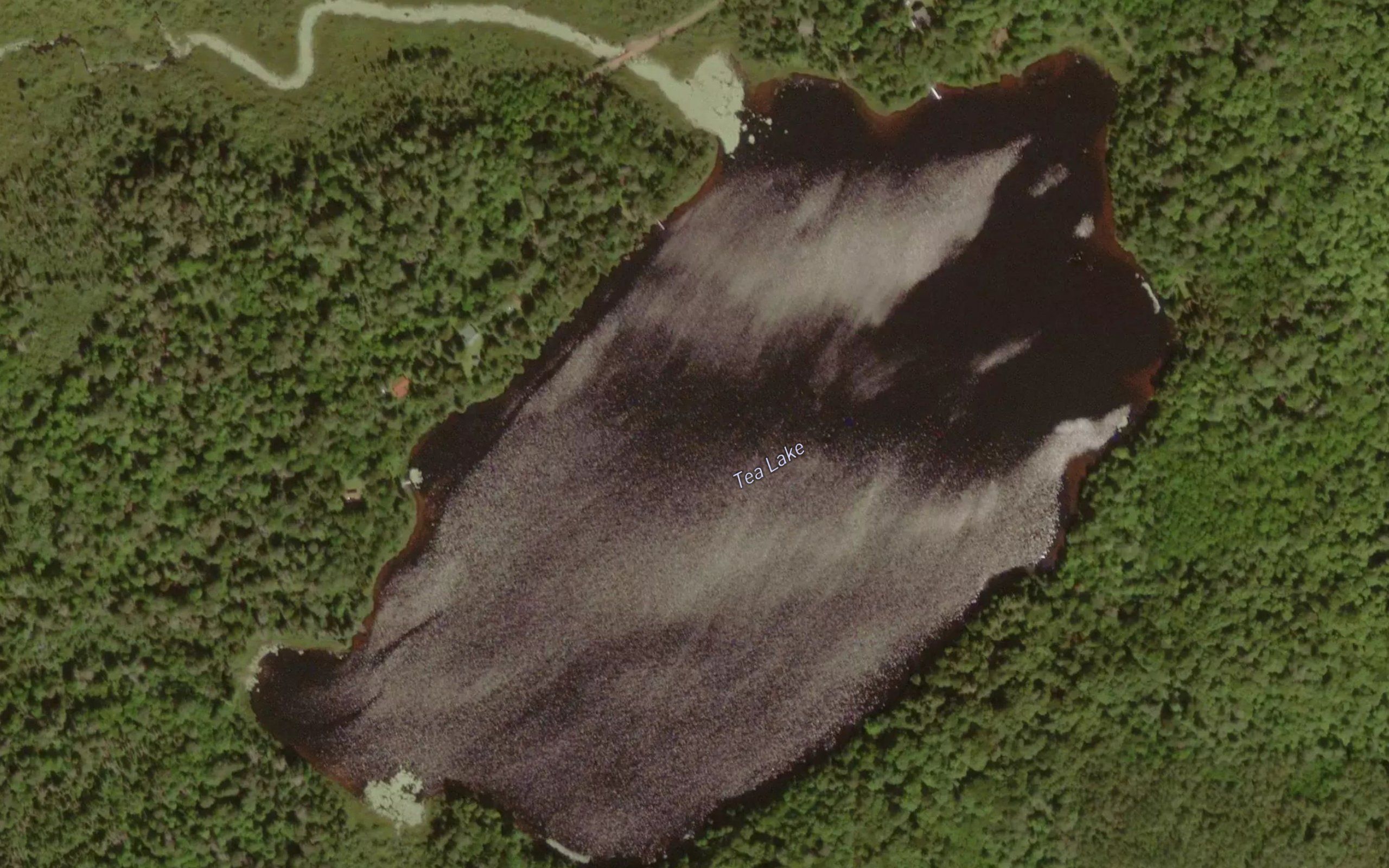 Tea Lake
