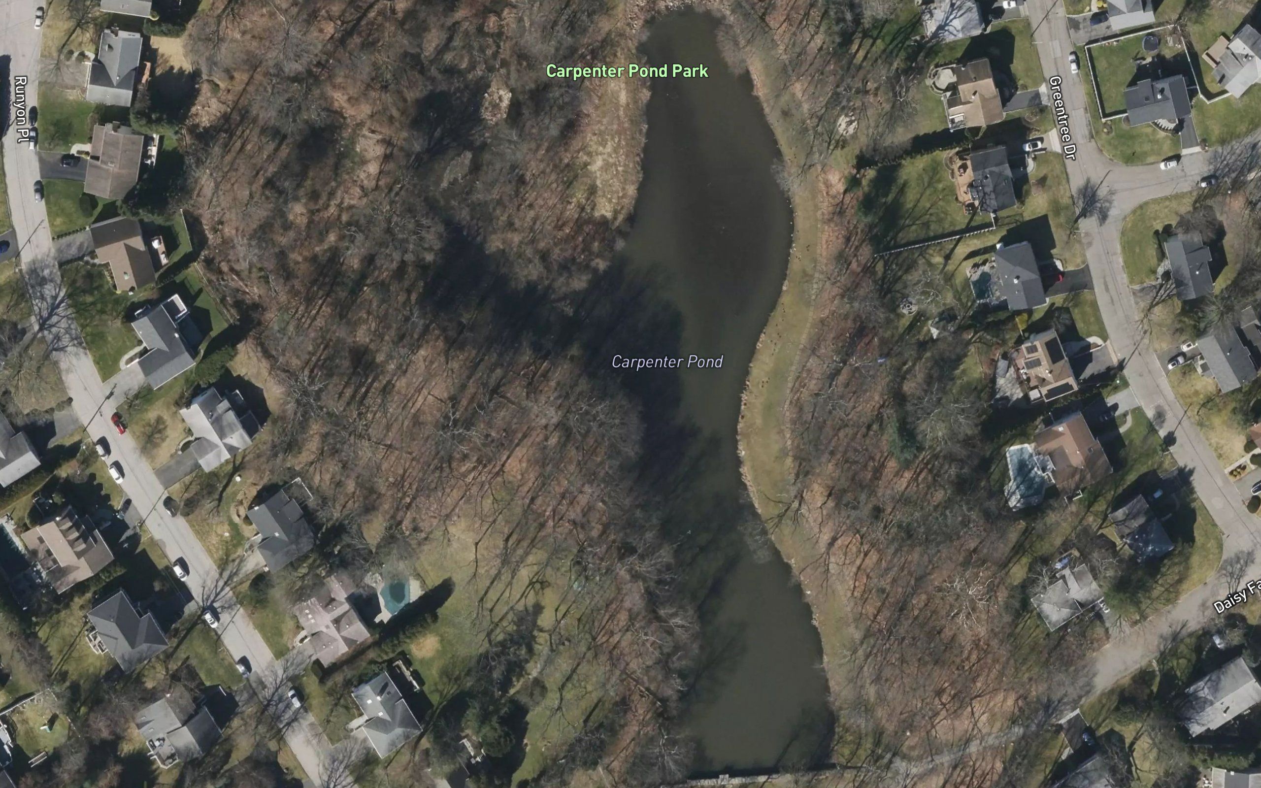 Carpenter Pond