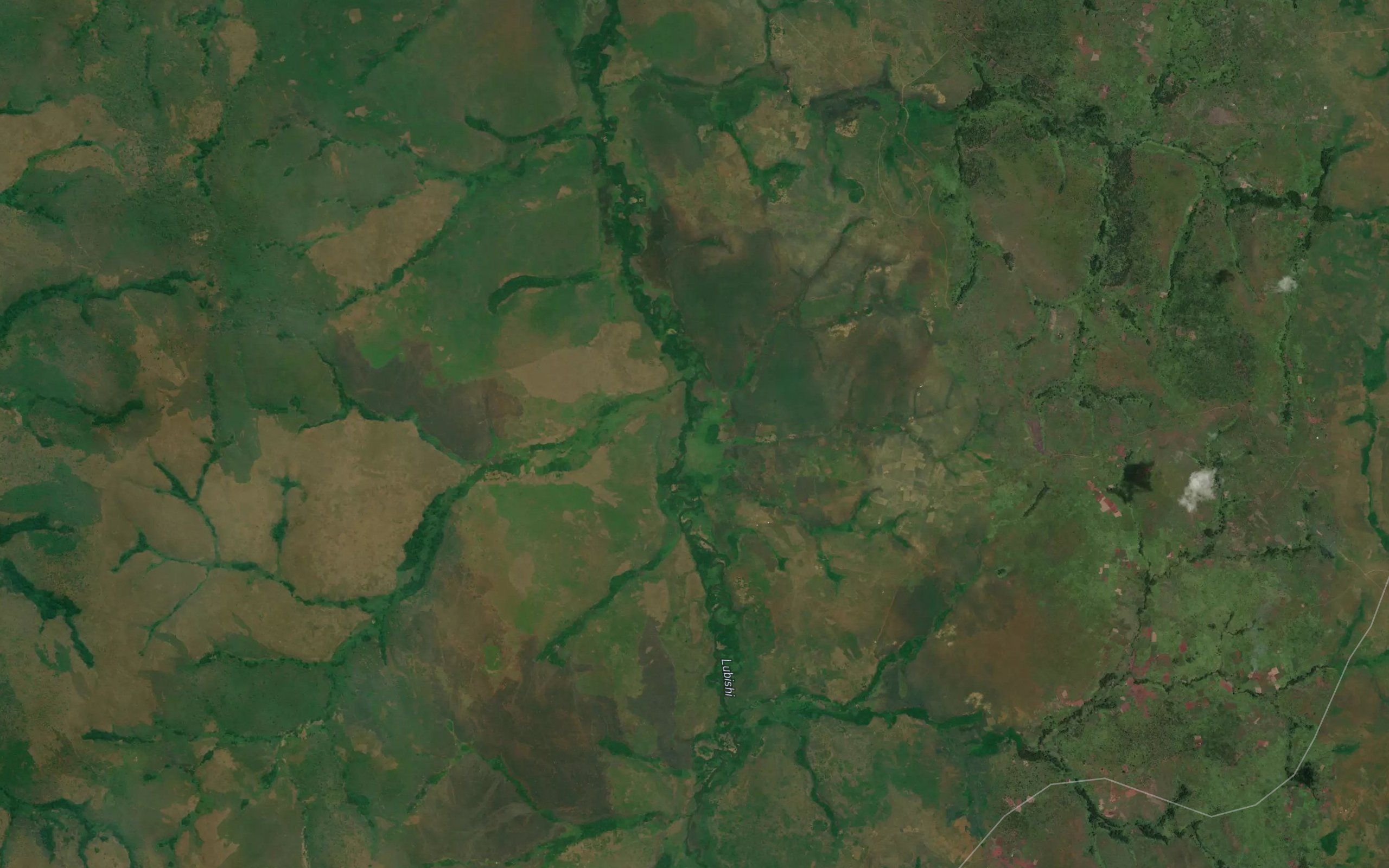 Kamanongo