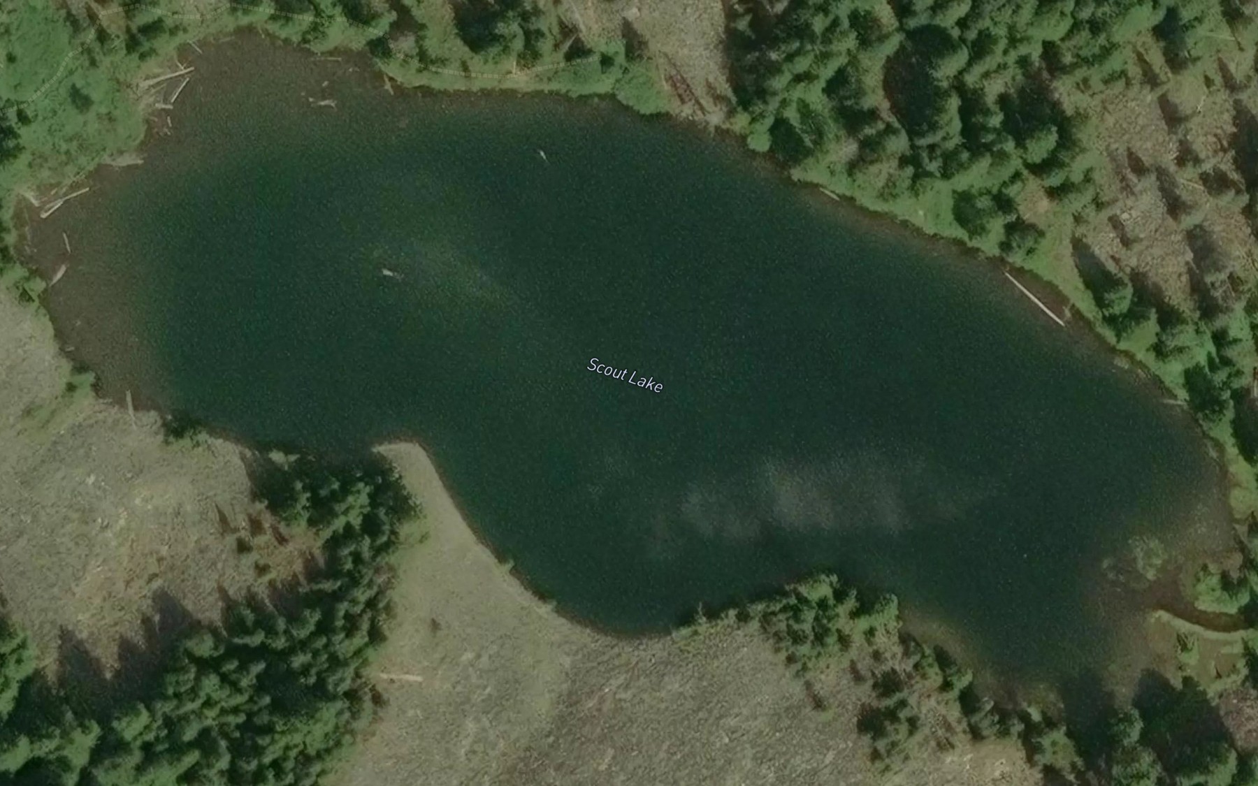 Satellite map of the Scout Lake