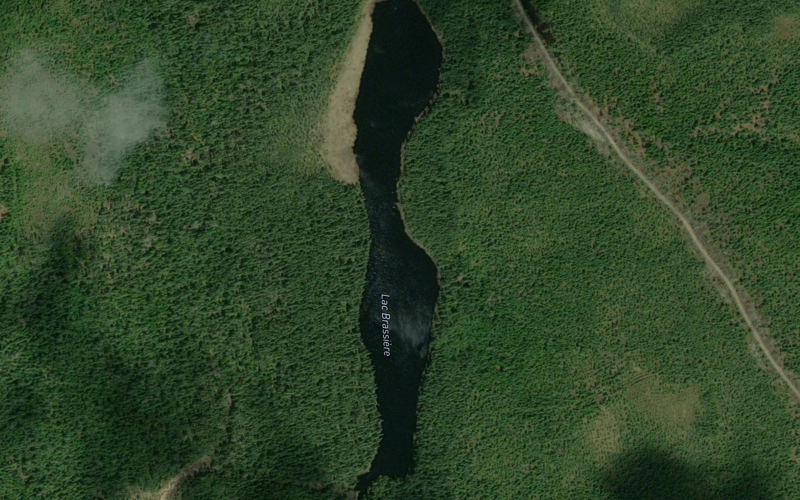 Lac Brassiere