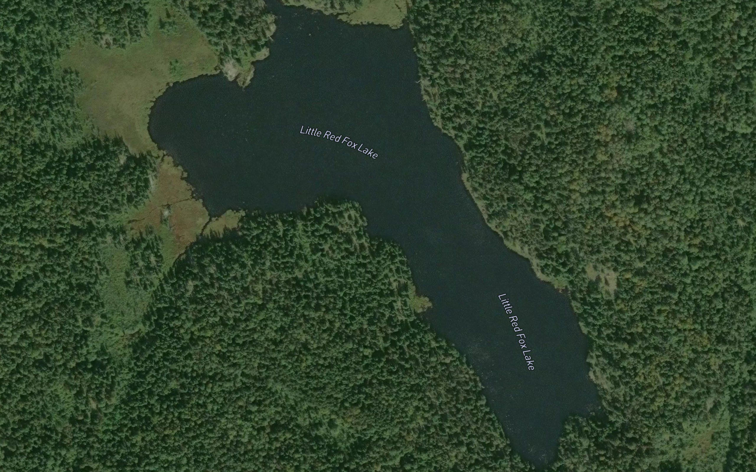 Little Red Fox Lake