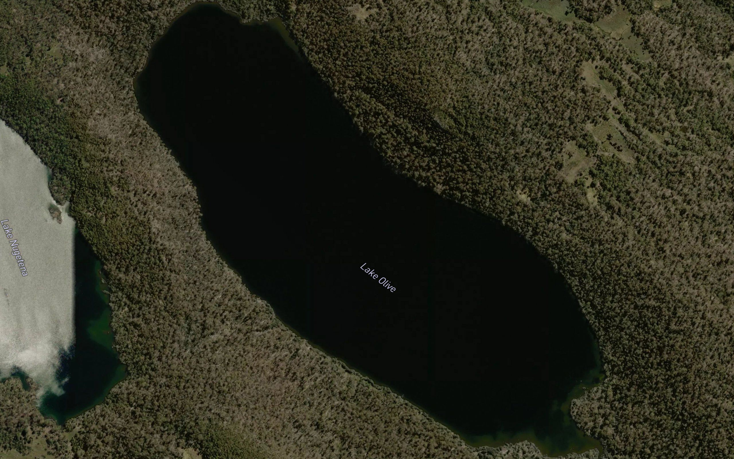 Lake Olive