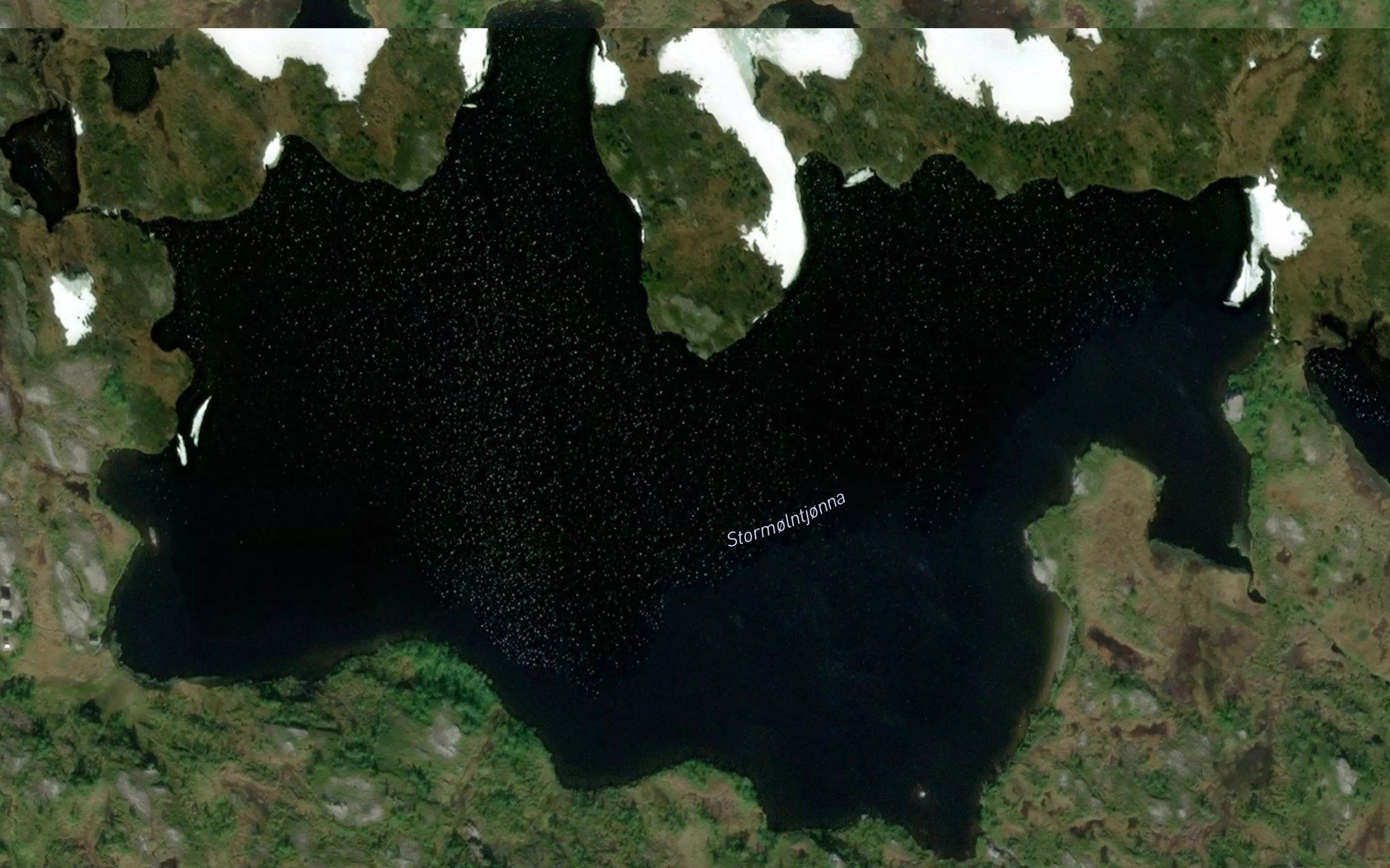 Molntjonna