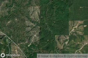 Short Forks