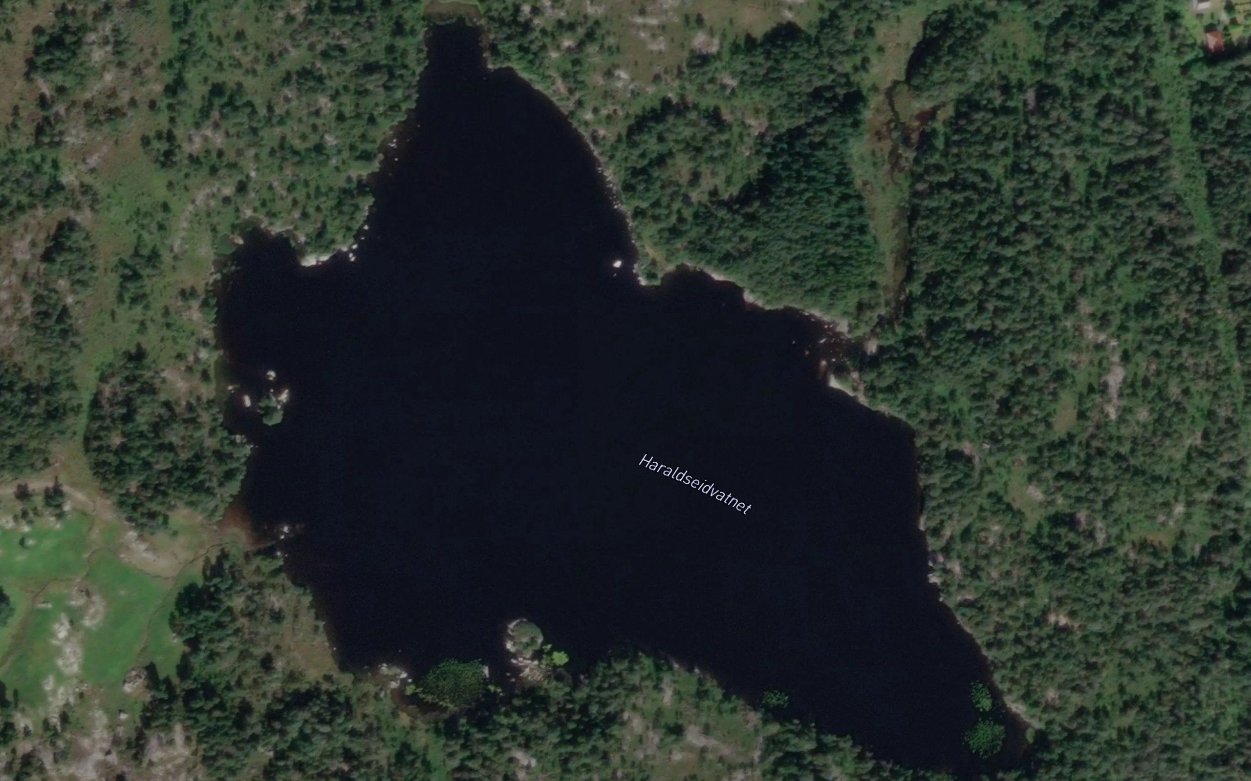 Haraldseidvatnet