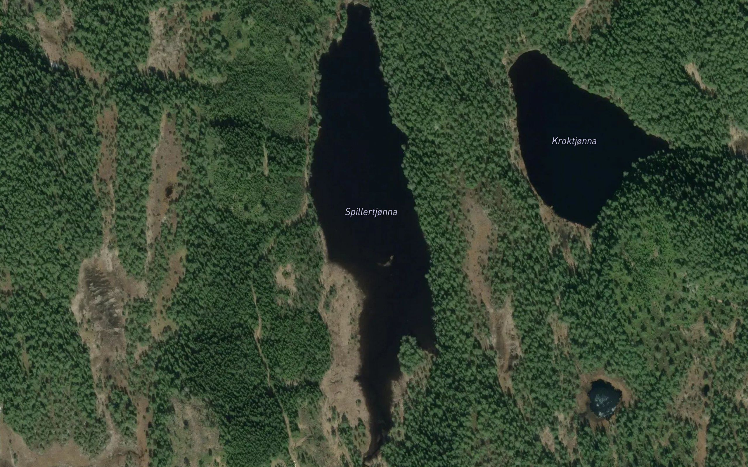 Spillertjorna