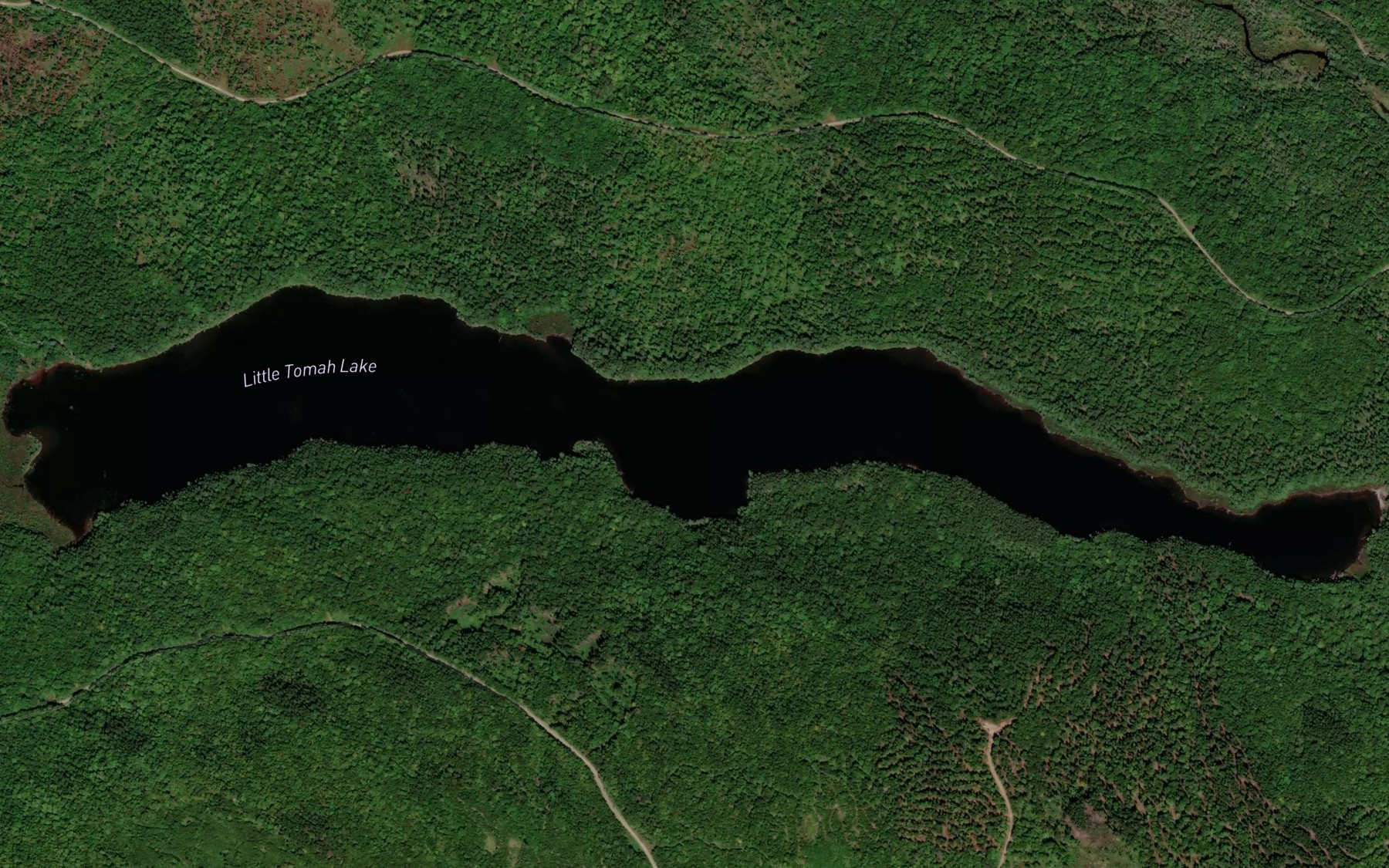 Satellite map of the Little Tomah Lake