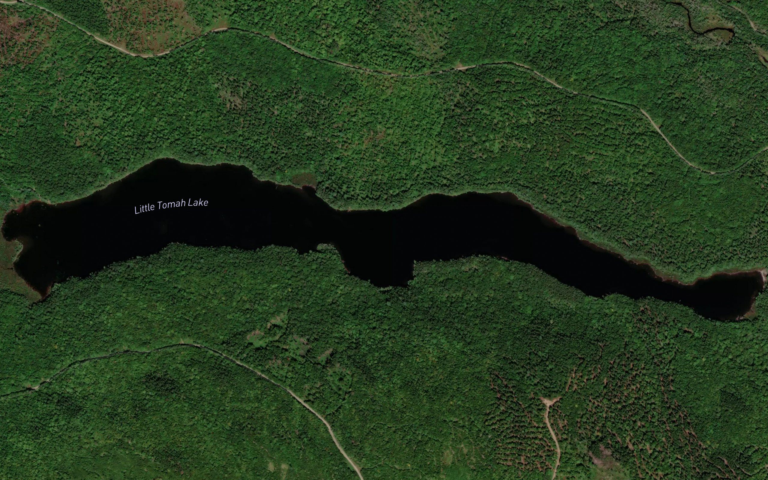 Little Tomah Lake