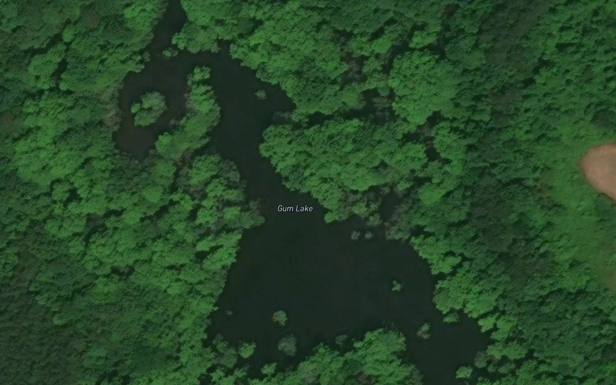 Gum Lake