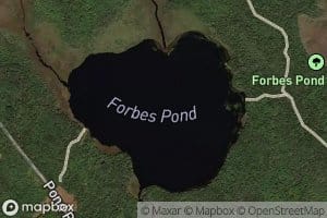 Forbes Pond