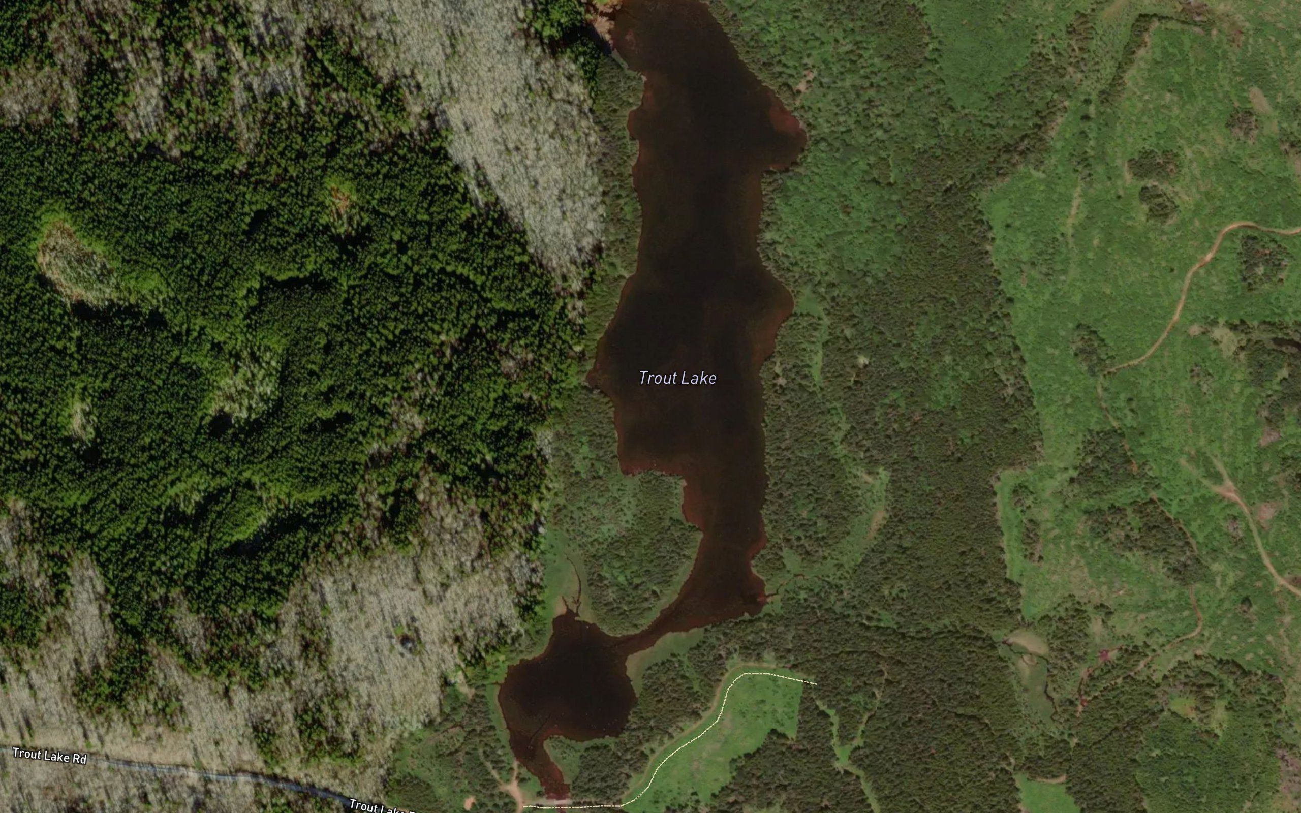 Trout Lake