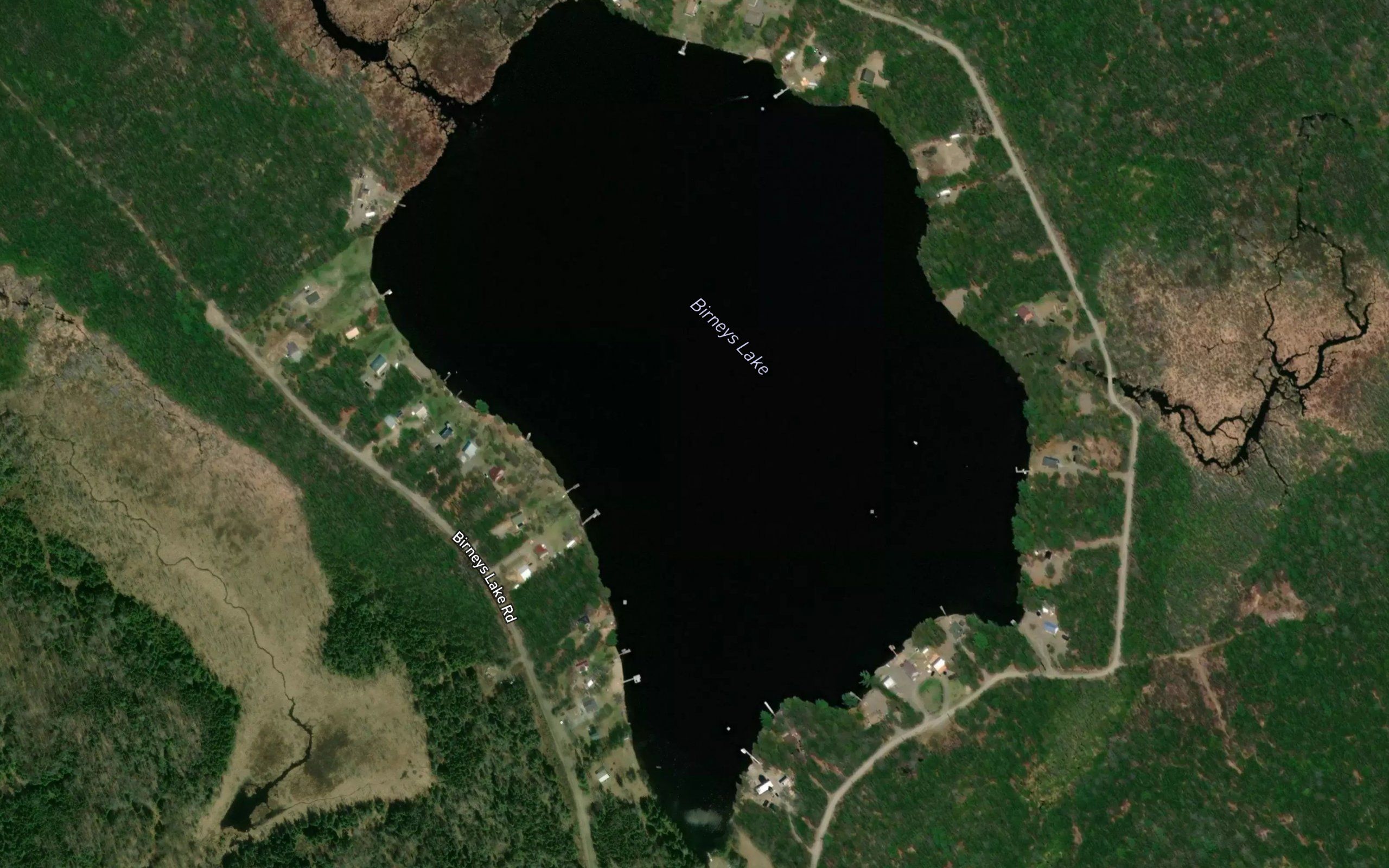 Birneys Lake