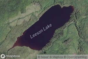 Leeson Lake