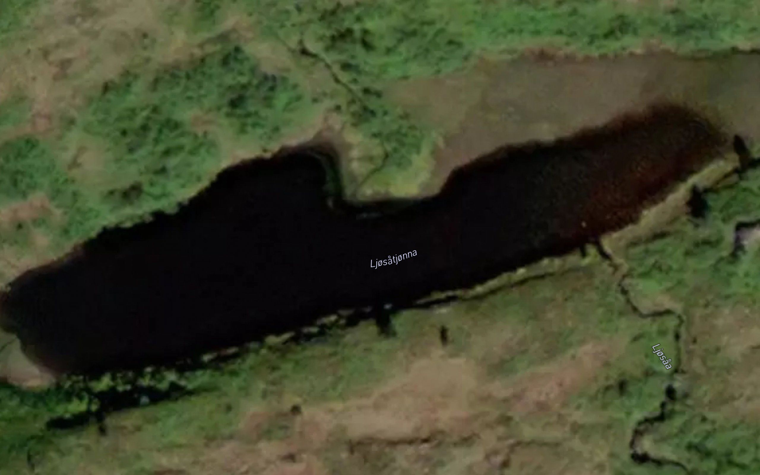 Ljosatjonna