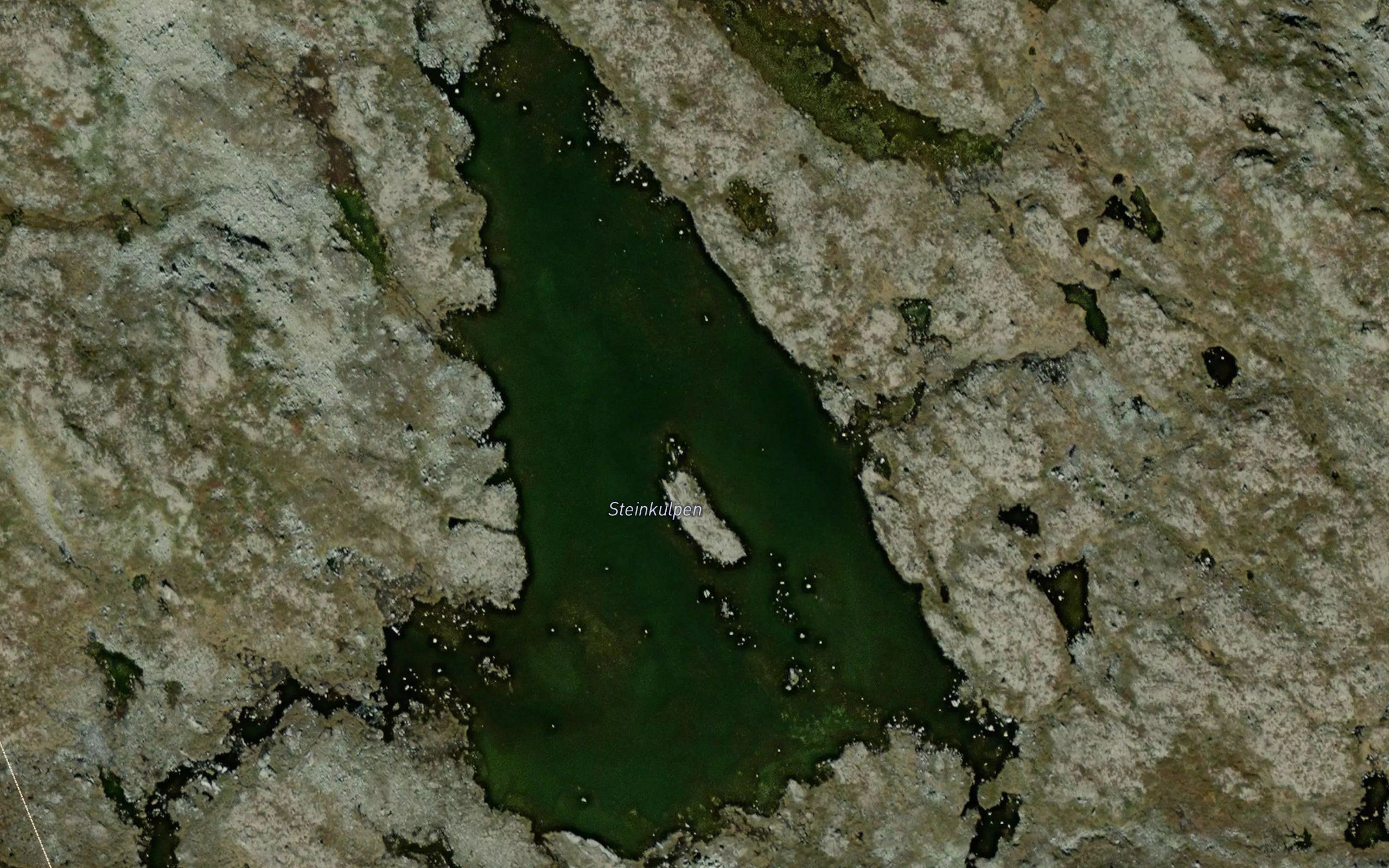 Steinkulpen