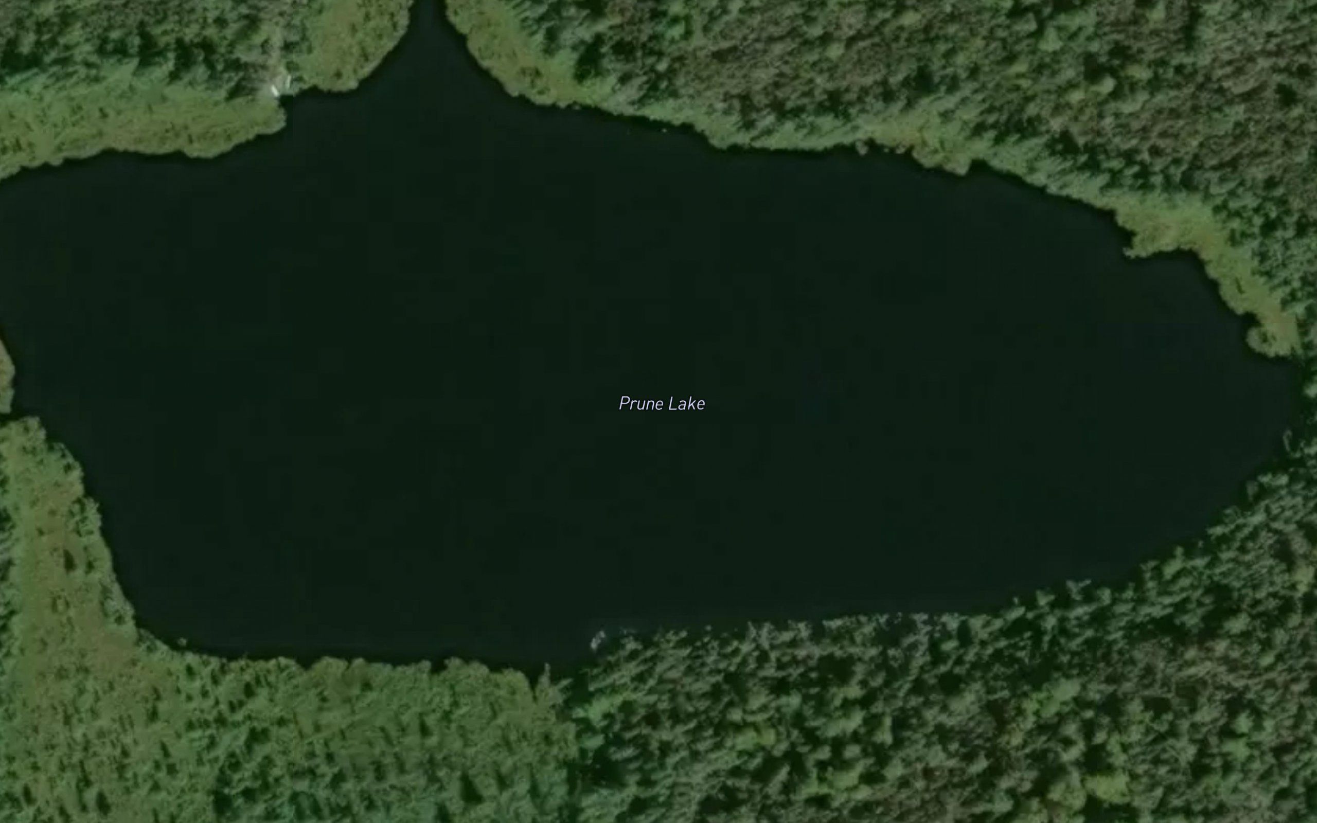 Prune Lake