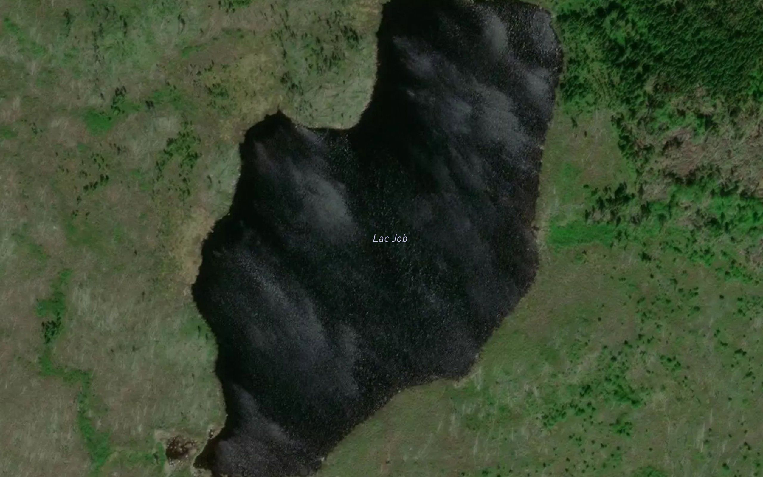 Lac Job