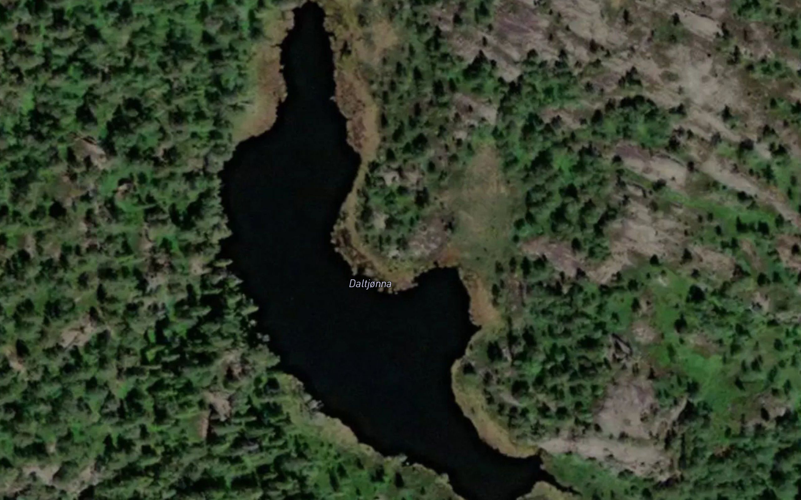Daltjorna