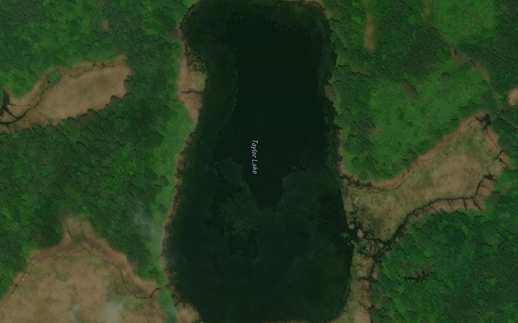 Satellite map of the Taylor Lake