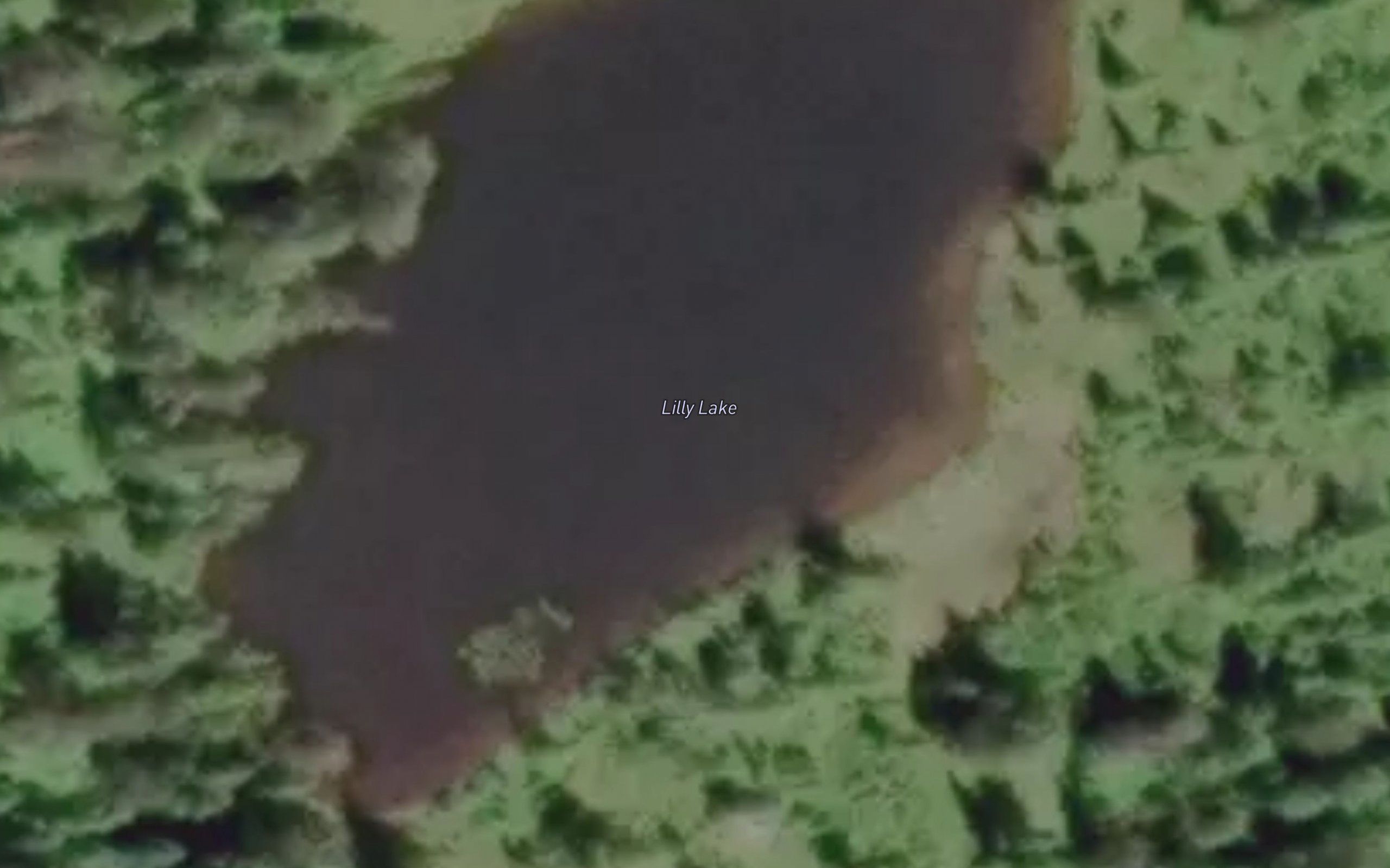 Lilly Lake