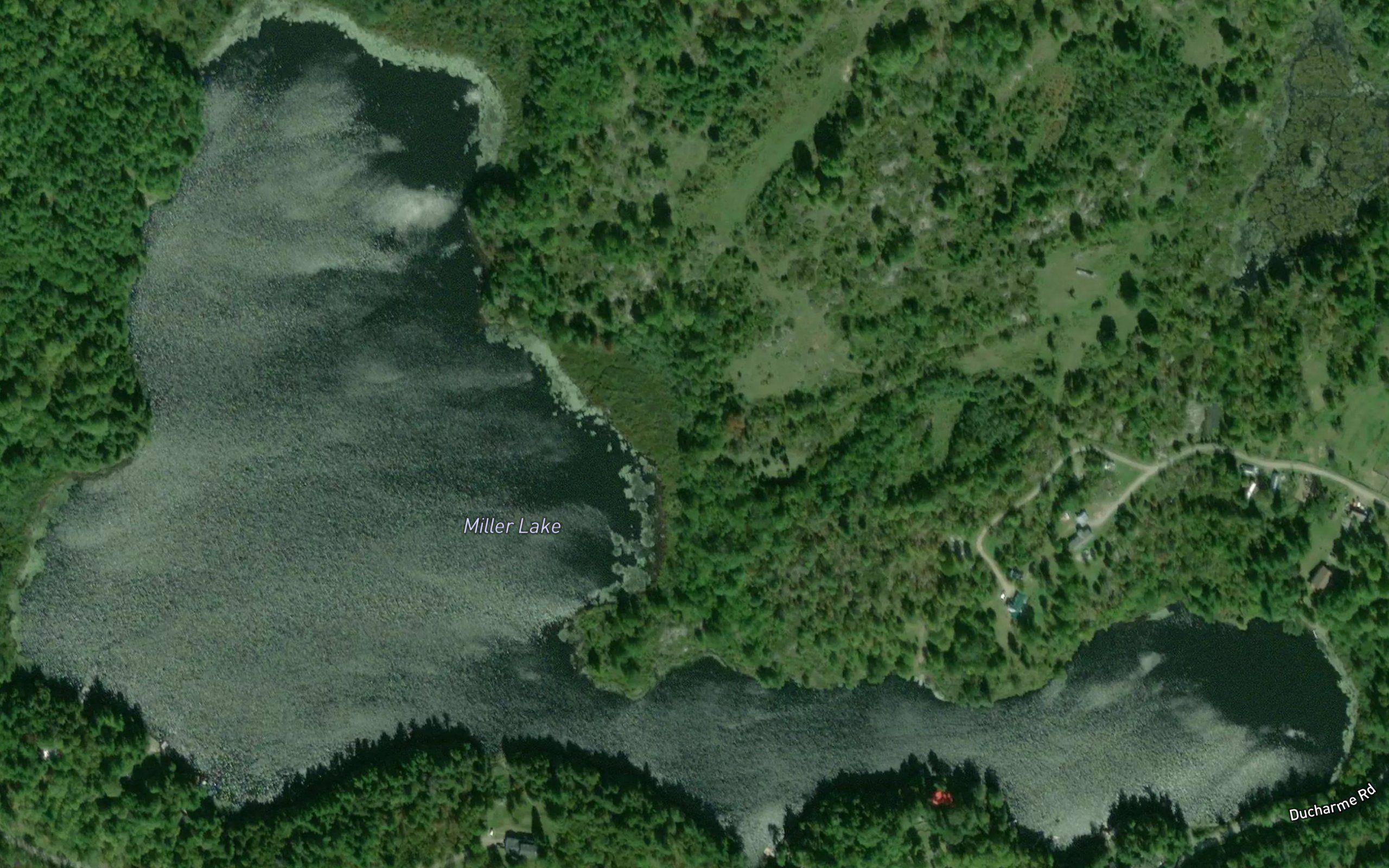 Miller Lake