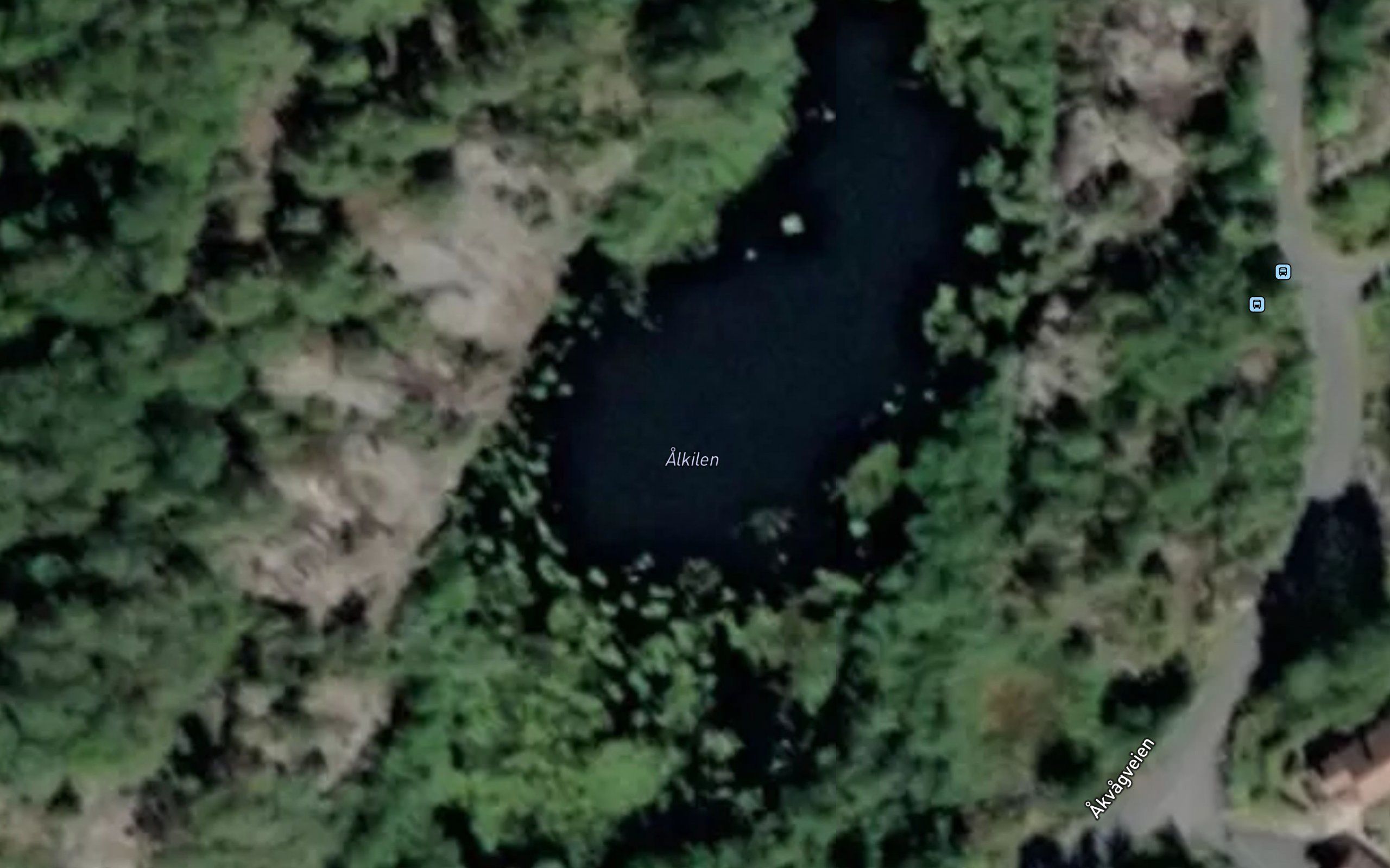 Alkilen