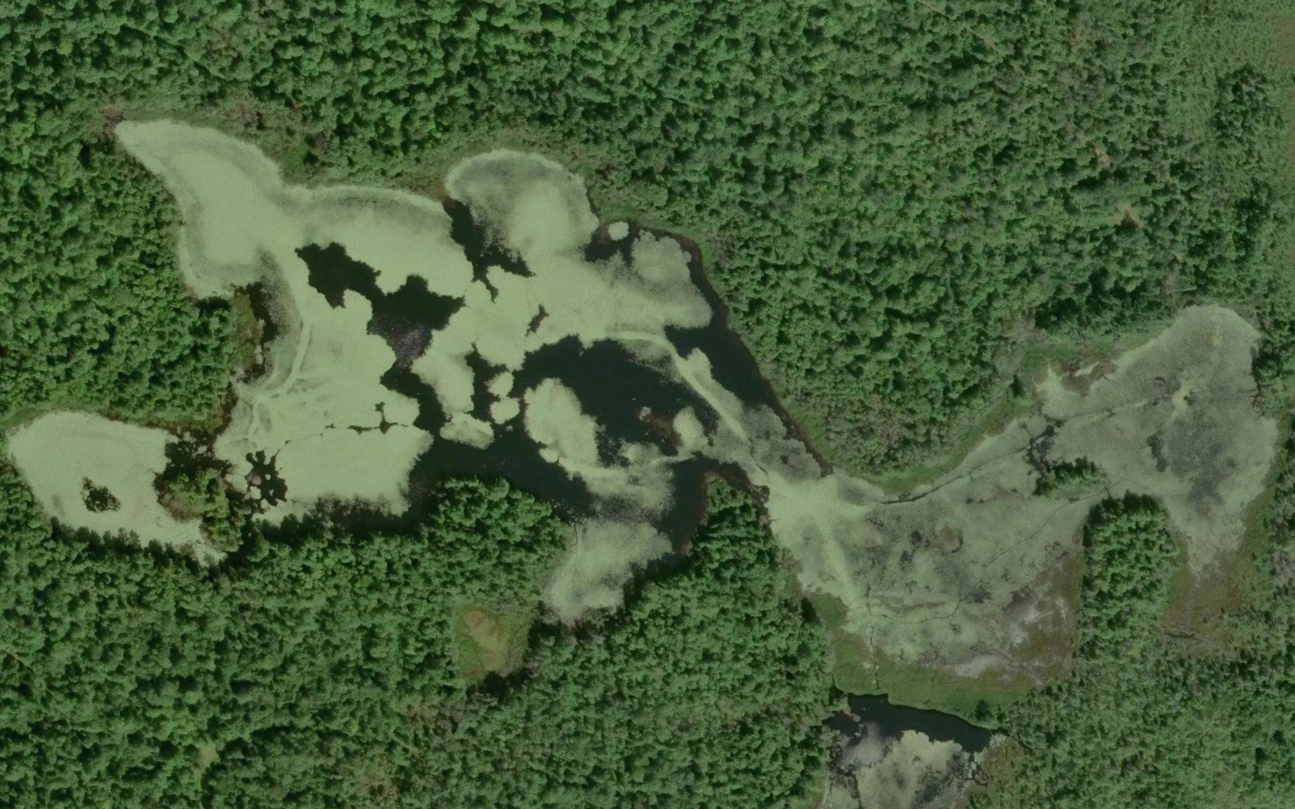 Preacher Lake