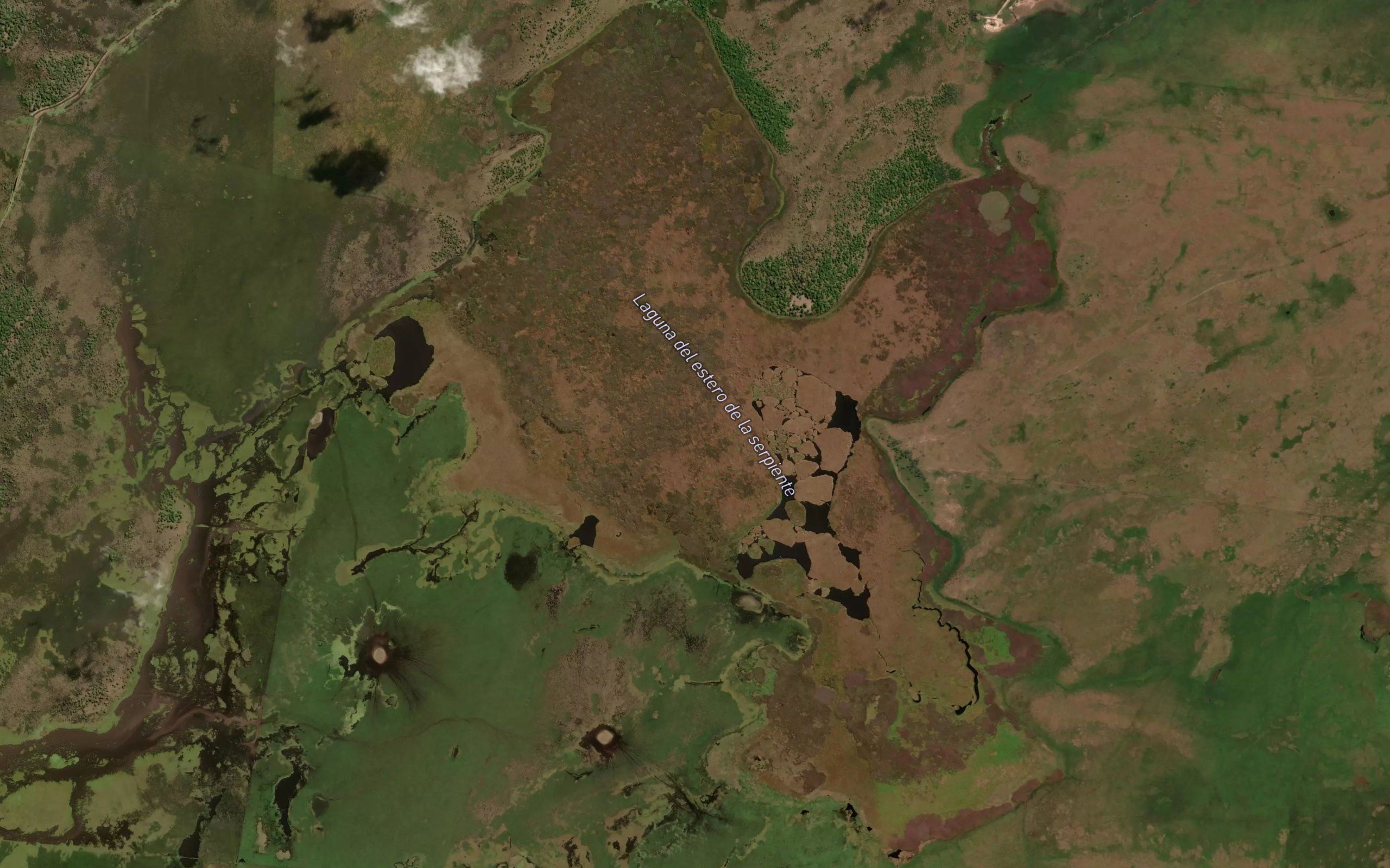 Laguna del Estero de la Serpiente