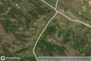 Harriet Spring Number Two