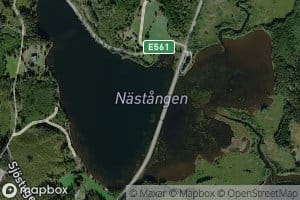 Naestangen