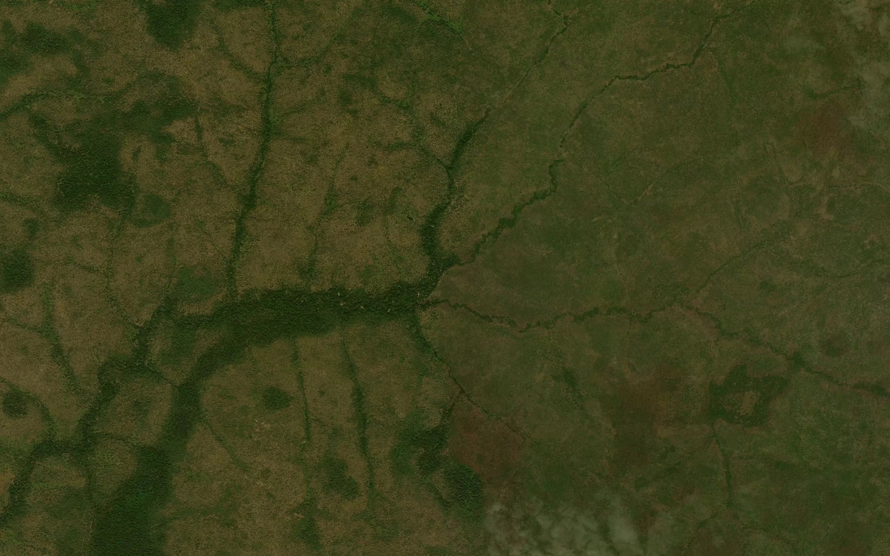 Satellite map of the River Woro