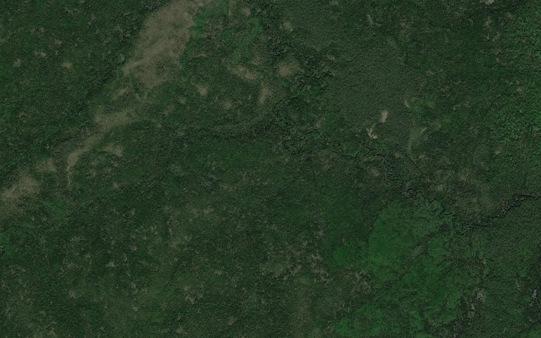 Satellite map of the Lyskayel'
