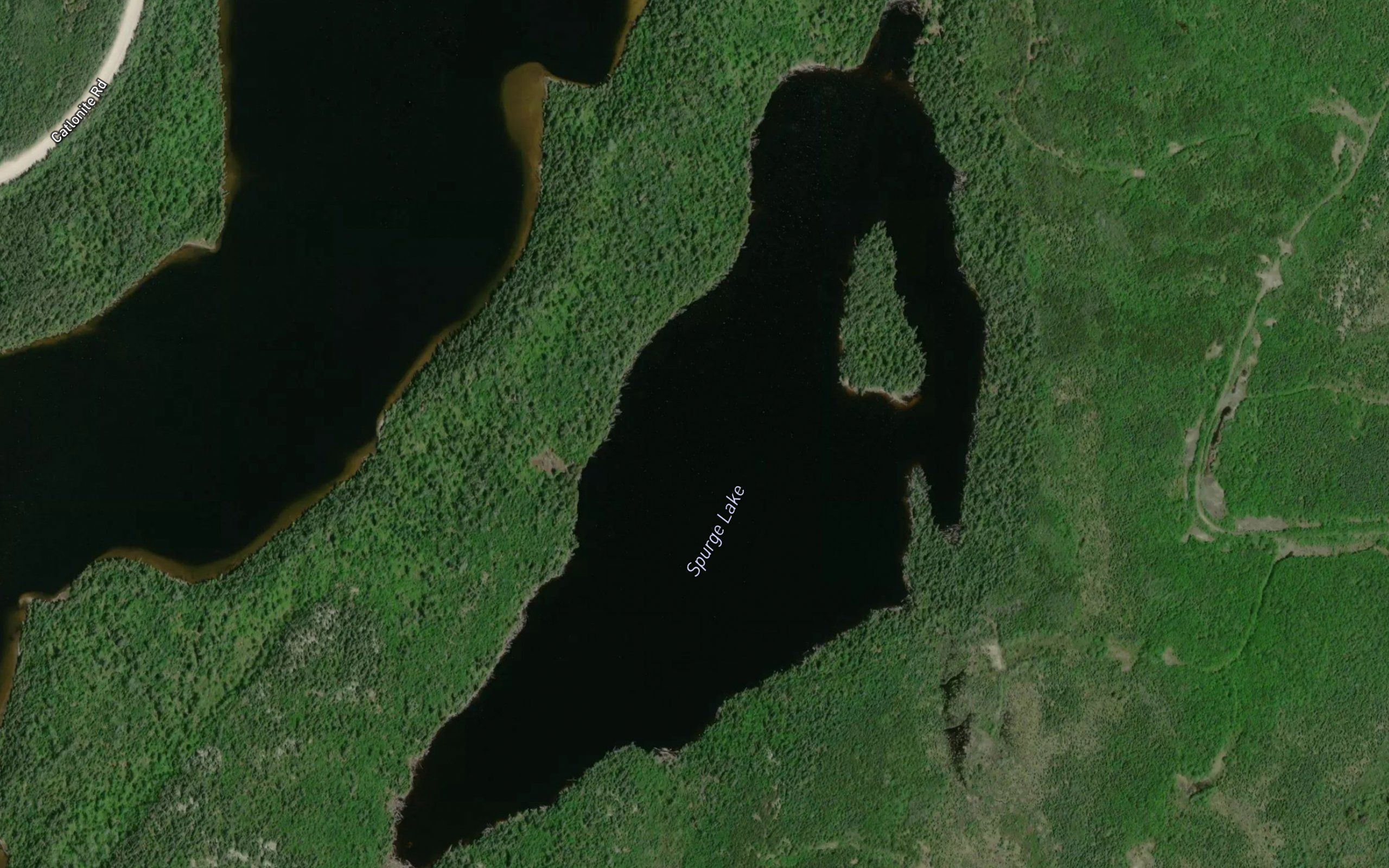 Spurge Lake