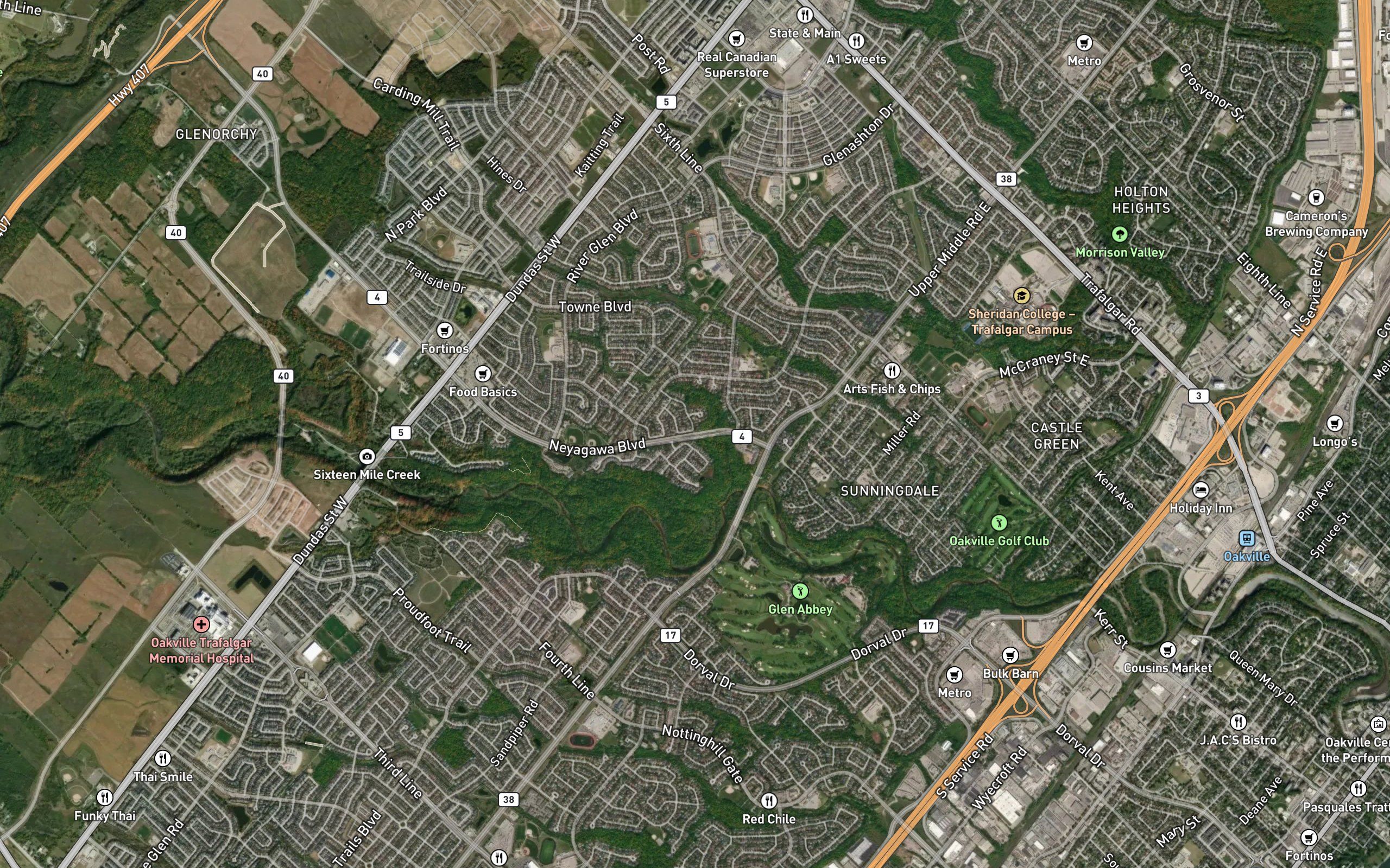 Shannon's Creek