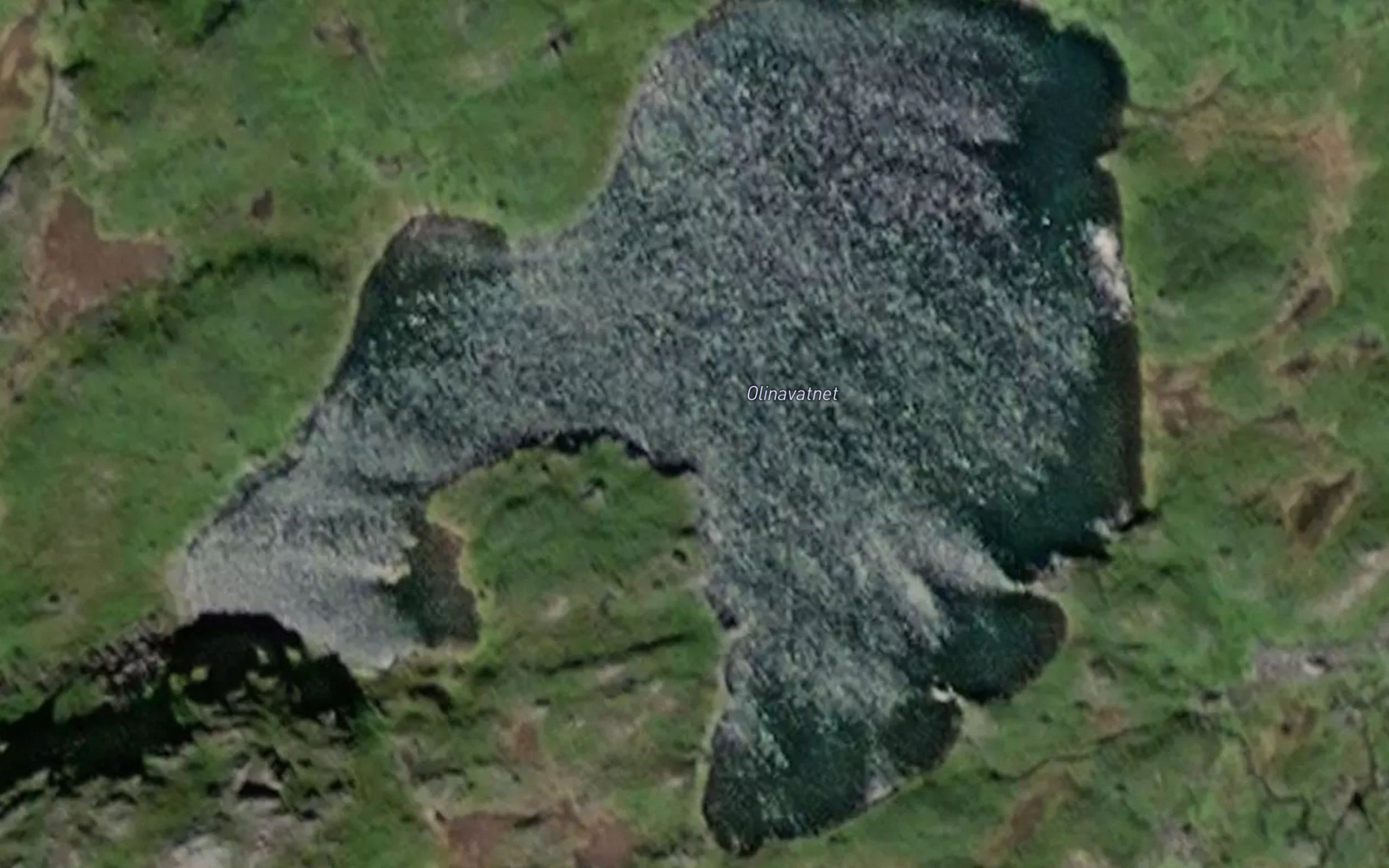 Olinavatnet