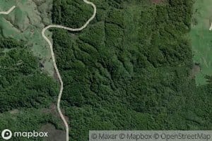 Tongatongarerewa Stream