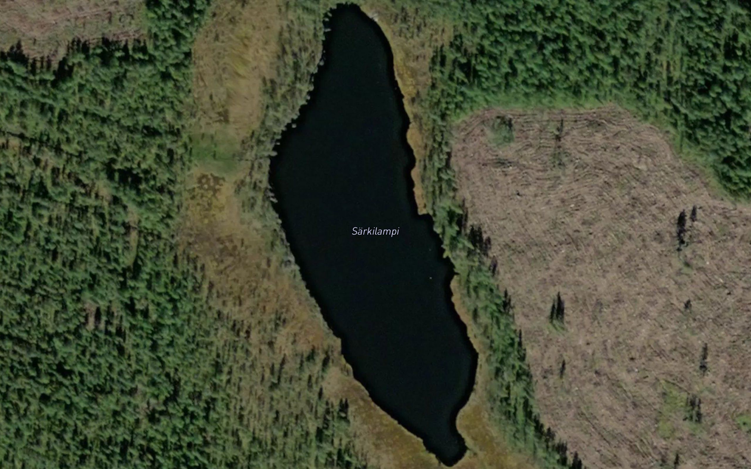 Sarkilampi