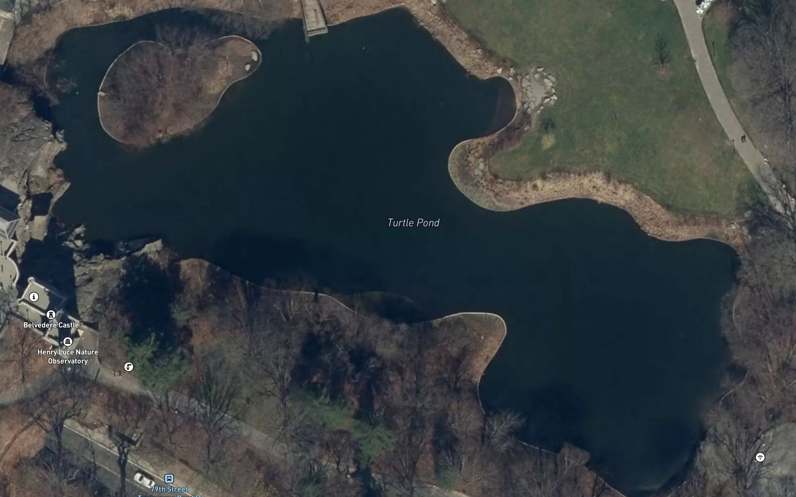 Turtle Pond