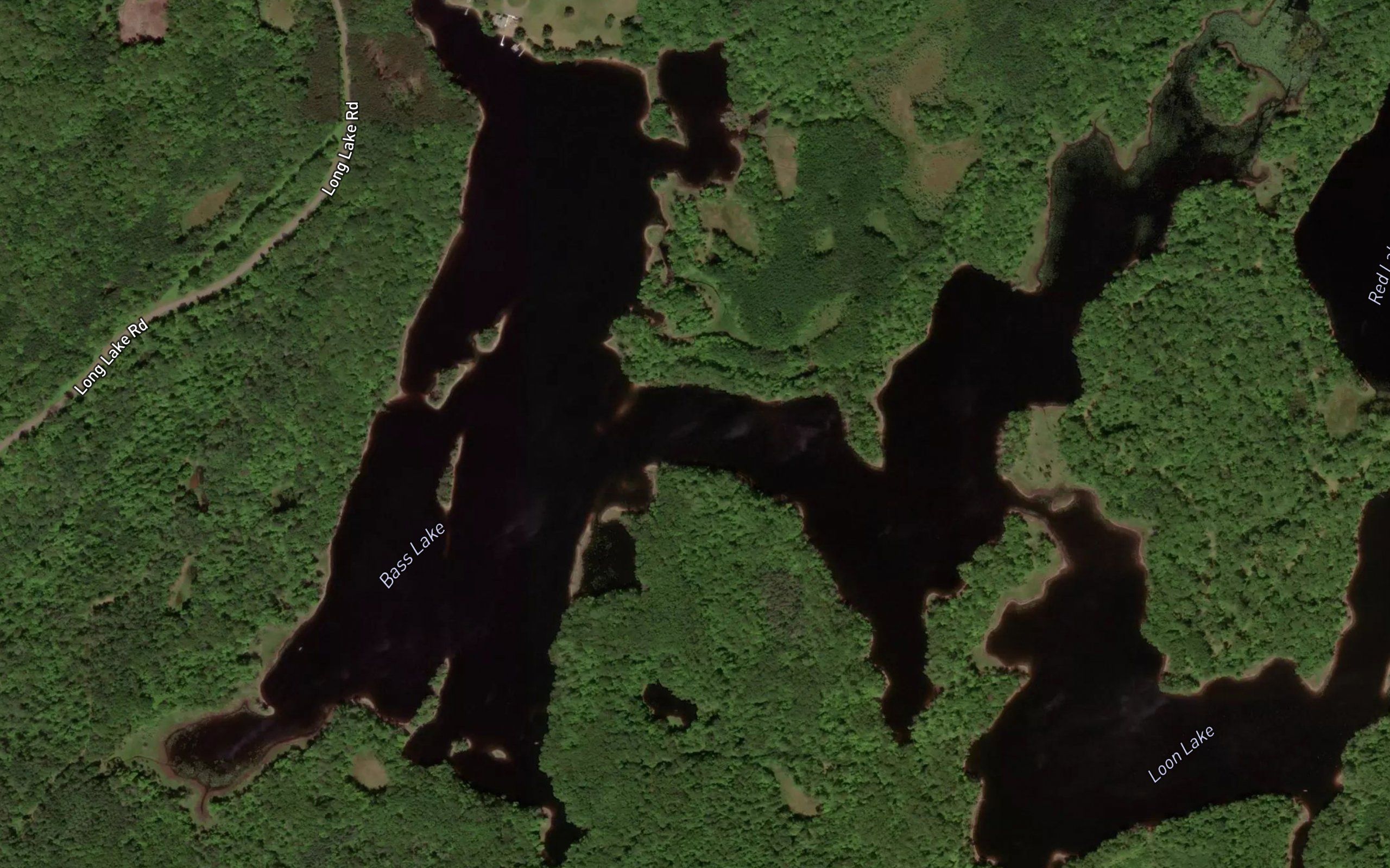 Bass Lake