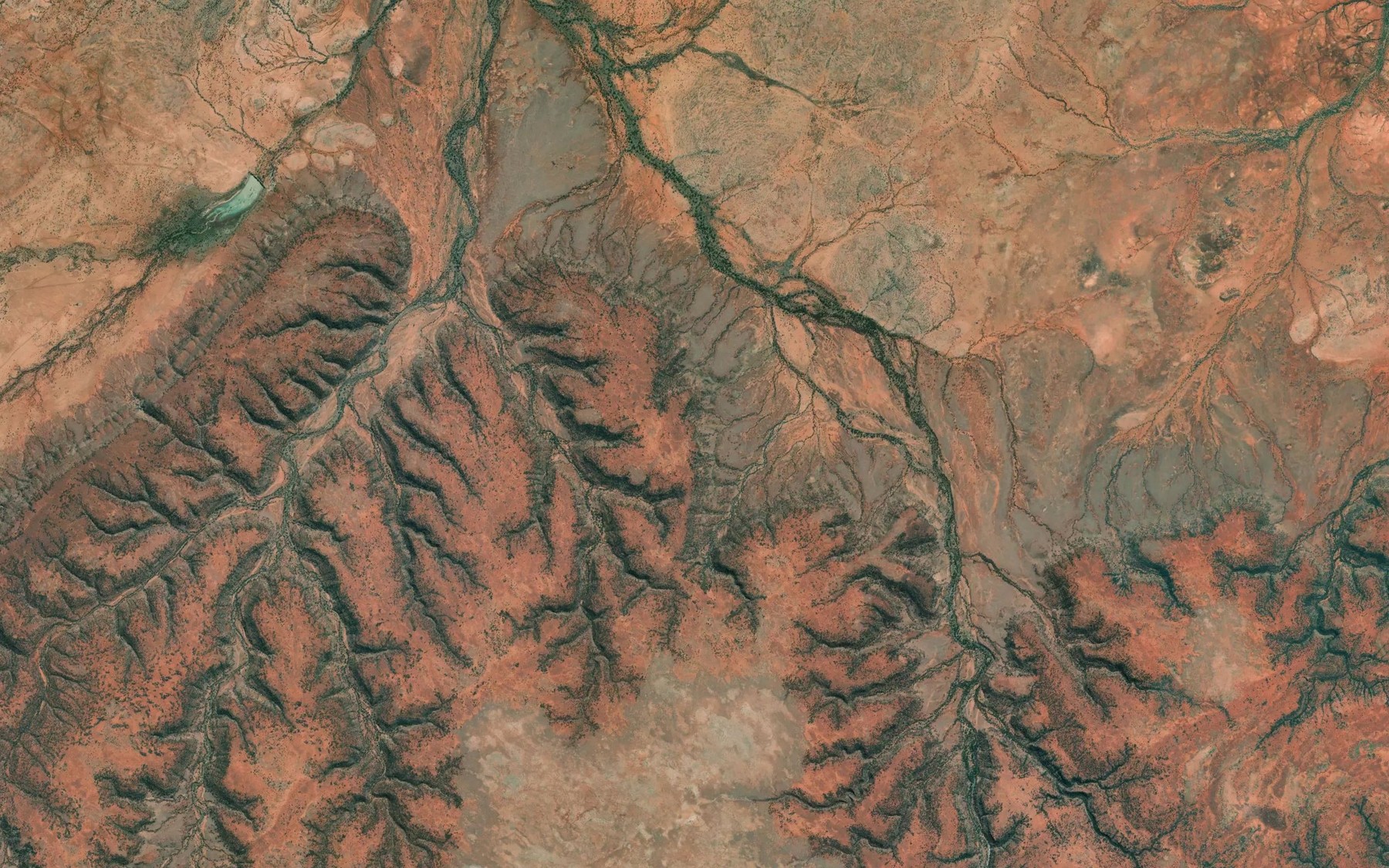 Satellite map of the Alcoora Spring